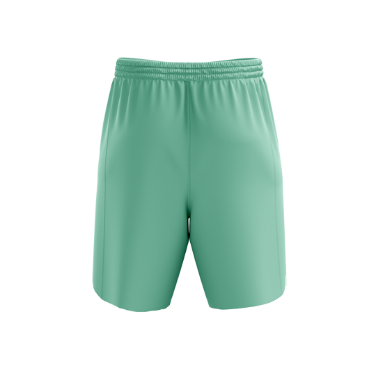 'Basic b*tch'' minty fitness shorts (7")