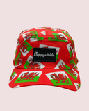 "Dragon dashers" cap