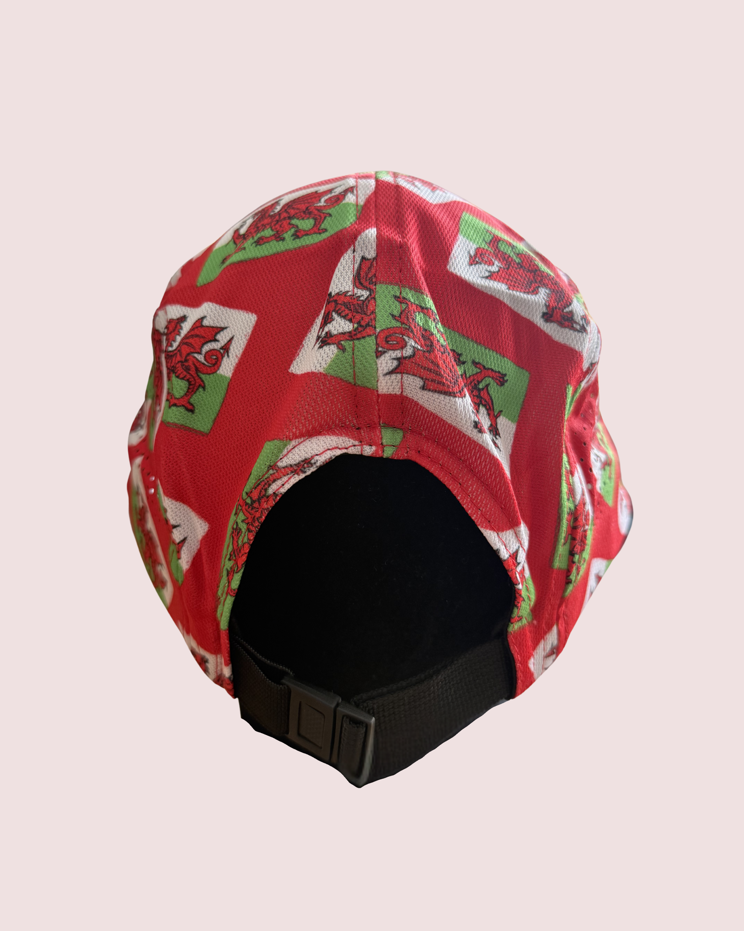 "Dragon dashers" cap