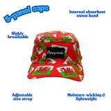 "Dragon dashers" cap