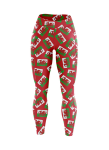 Dragon dashers leggings